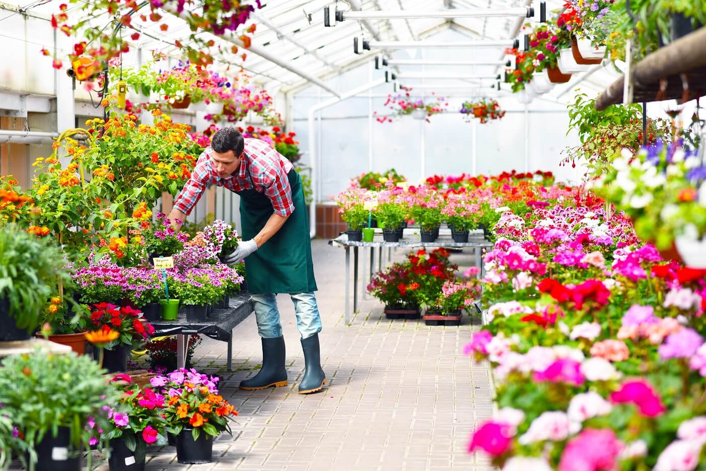 Refinancing flower farm/storage areas