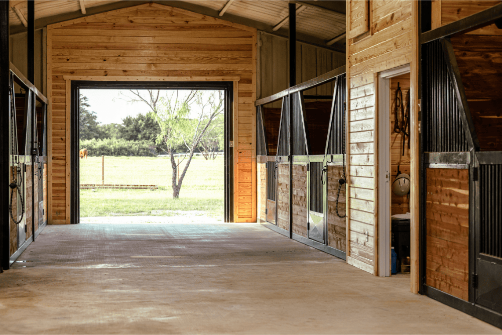 Financiering paardenhouderij